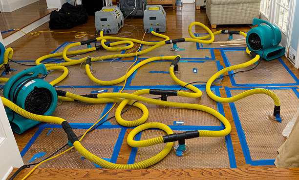 Professional Water Damage Repair technician working in Almont, MI