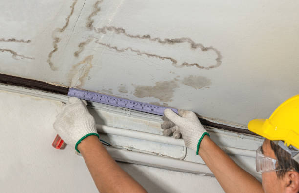 Affordable Water Damage Repair solutions in Almont, MI